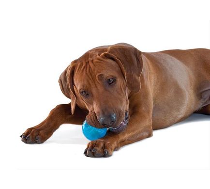 Игрушка для собак PETSTAGES Орка теннисный мяч pt235 фото
