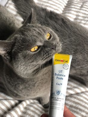 Витаминная паста GimCat Expert Line UT Balance для котов, 50 г G-427041 фото