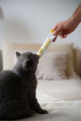Паста для кошек GimCat Cheese Biotin Paste сырная с биотином, 100 г G-401010 фото