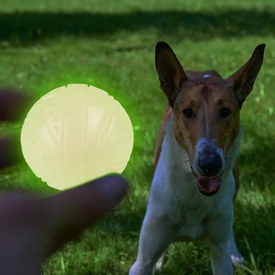 Игрушка для Собак Skipdawg Glow Ball Светонакопительный Мяч 7 см SD3019 фото