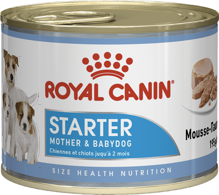 Консерви для цуценят, вагітних і годуючих сук Royal Canin STARTER MOUSSE MOTHER and BABYDOG (мус) 4077002 фото