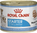 Консерви для цуценят, вагітних і годуючих сук Royal Canin STARTER MOUSSE MOTHER and BABYDOG (мус) 4077002 фото 1
