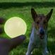 Игрушка для Собак Skipdawg Glow Ball Светонакопительный Мяч 7 см SD3019 фото 4