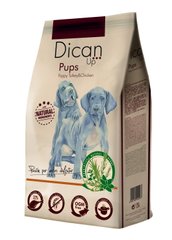 Сухой корм для щенков Dican Up Pups, цена | Фото