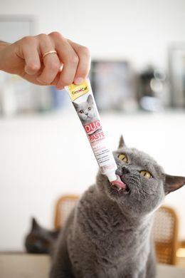 Паста для кошек с чувствительным пищеварением GimCat DUO PASTE Anti-hairboll malt with chicken мальт и курица, 50 г G-427201 фото