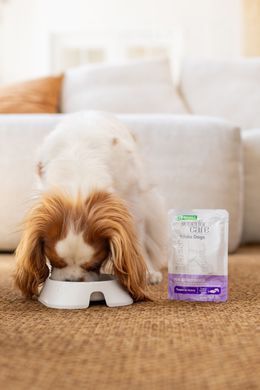 Додатковий вологий корм для собак з білим забарвленням Nature's Protection Superior Care White Dogs Adult Tuna & Salmon з тунцем і лососем UNINPSC63999 фото