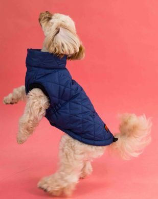 Жилет тропа Dogs Bomba синий G-41 G-41/2 фото