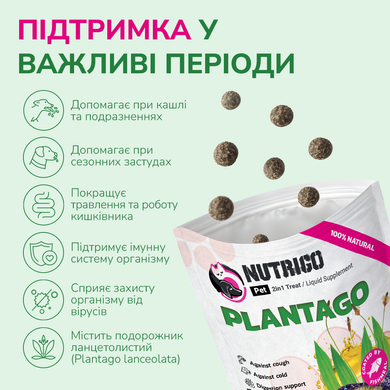 Функціональні ласощі для собак дрібних порід LK Baits Pet Nutrigo Plantago Mini з сиропом подорожника (&Oslash; 15 мм), 75 г 7777026 фото