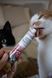 Паста для кошек с чувствительным пищеварением GimCat DUO PASTE Anti-hairboll malt with chicken мальт и курица, 50 г G-427201 фото 4