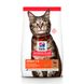 Сухой корм для котов HILL’S SCIENCE PLAN Adult с ягненком и рисом Hills_604065 фото 1