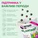 Функціональні ласощі для собак дрібних порід LK Baits Pet Nutrigo Plantago Mini з сиропом подорожника (&Oslash; 15 мм), 75 г 7777026 фото 4