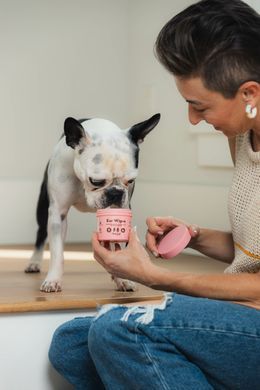 Серветки для гігієни вух Ear Wipes Natural Dog Company, 50 шт WP-EARS-50 фото