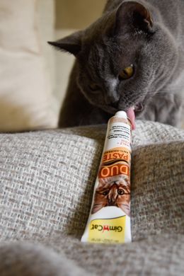 Паста для кошек с чувствительным пищеварением GimCat DUO PASTE Anti-hairboll malt with cheese мальт и сыр, 50 г G-427218 фото