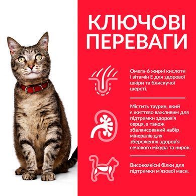 Сухий корм для котів HILL&rsquo;S SCIENCE PLAN Adult з ягням і рисом Hills_604066 фото