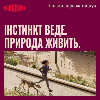 Сухий корм для активних собак Carnilove Active Venison & Reindeer & Wild Boar Active Adults оленина і дикий кабан CL_173685 фото