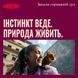 Вологий корм для котів Carnilove Jelly Multipack в желе в асортименті 12x85 г CL_101383 фото 5