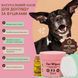 Серветки для гігієни вух Ear Wipes Natural Dog Company, 50 шт WP-EARS-50 фото 2