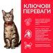 Сухий корм для котів HILL&rsquo;S SCIENCE PLAN Adult з ягням і рисом Hills_604066 фото 3