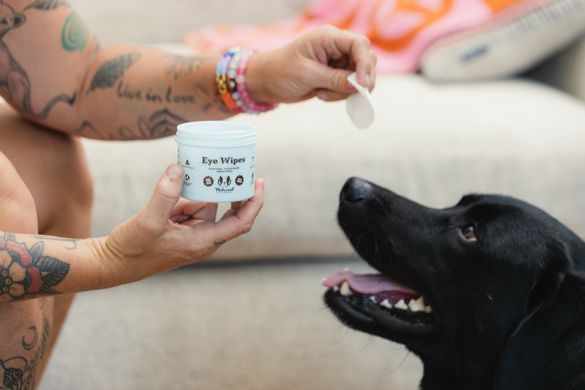 Серветки для очей Eye Wipes Natural Dog Company, 50 шт WP-EYES-50 фото