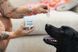 Серветки для очей Eye Wipes Natural Dog Company, 50 шт WP-EYES-50 фото 6