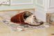 Багаторазова пелюшка для собак AquaStop арт.4, 60х60 см AquaStop22 фото 10