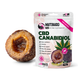 Функциональное лакомство для собак мелких пород LK Baits Pet Nutrigo CBD Mini с конопляным маслом (&Oslash; 15 мм), 75 г 7777031 фото 1