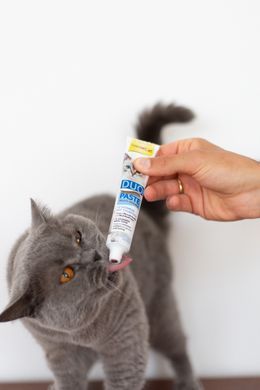 Паста для кошек GimCat DUO PASTE Multi-vitamin 12 vitamins with tuna 12 витаминов и тунец, 50 г G-421858 фото