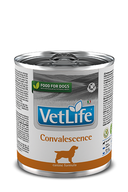 Влажный лечебный корм для собак Farmina Vet Life Convalescence диет. питание, для восстановления питания и выздоровления, 300 г PVT300001 фото