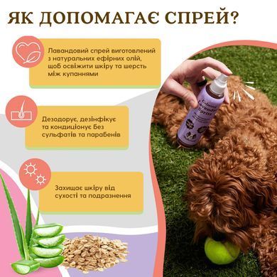 Спрей-кондиционер для расчесывания и ухода за шерстью Calming Lavender Spritz Natural Dog Company 235 мл GR-SZLV-08 фото