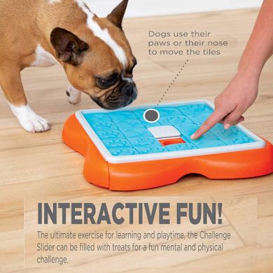 Игрушка интерактивная для собак Nina Ottosson Пятнашки no69343 фото