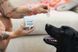 Серветки для очей Eye Wipes Natural Dog Company, 100 шт WP-EYES-100 фото 6