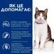 Сухий корм для котів при захворюваннях шлунково-кишкового тракту Hill's Prescription diet Gastrointestinal Biome Stress з куркою Hills_608944 фото 4
