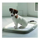 Туалет для цуценят Savic Puppy Trainer з пелюшками 3240 фото 3