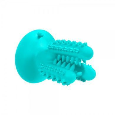 Игрушка для Собак Bronzedog PetFun Dental Кактус на Присоске Чистящая 0105/Т фото