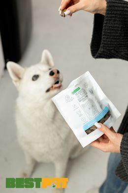 Ласощі для дорослих собак із білим забарвленням Nature's Protection Superior Care White Dogs Endurance з протеїном комах і рисом KIKNPSC47653 фото