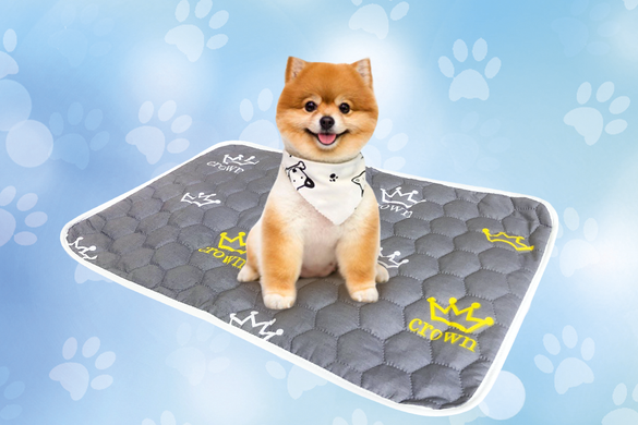 Багаторазова пелюшка для собак AquaStop арт.9, 40х60 см AquaStop33 фото