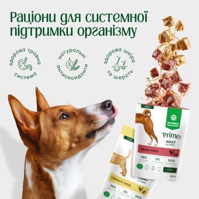 Вологий корм для собак для догляду за шкірою та шерстю Nature's Protection Prime Skin and Coat Adult Dogs Chicken and Salmon з куркою і лососем NPPR47922-K2 фото