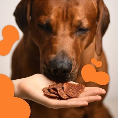 Ласощі для собак від 3-х місяців Mavsy Refined jerky DUCK CHIPS WITH CHIA SEEDS AND CARROTS чіпси з качки з насінням чіа та морквою, 50 г LSRM04 фото