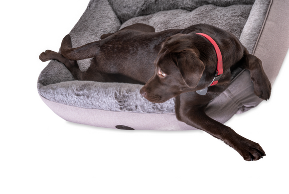 Лежак з посиленою поверхнею Harley&Cho Sofa з хутром для собак HC-3102930 фото