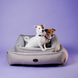 Лежак с усиленной поверхностью Harley&Cho Sofa с мехом для собак HC-3102930 фото 5