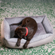 Лежак с усиленной поверхностью Harley&Cho Sofa с мехом для собак HC-3102930 фото 4