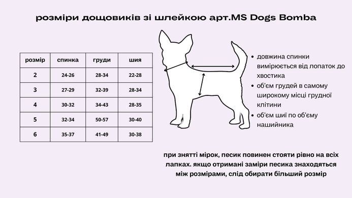 Дощовик з шлеей абстракція MS-4 MS-4/2 фото