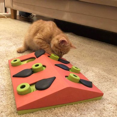Іграшка інтерактивна для котів Nina Ottosson Головоломка Кавун no69583 фото