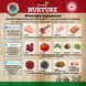 Беззерновой сухой корм для кошек для всех этапов жизни Pure Nurture Grain Free с индейкой и горошком PN_3033 фото 2