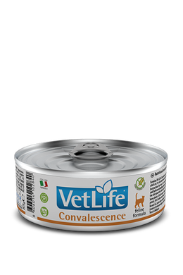 Вологий лікувальний корм для кішок Farmina Vet Life Convalescence дієт. харчування, для відновлення харчування та одужання, 85 г PVT085001 фото