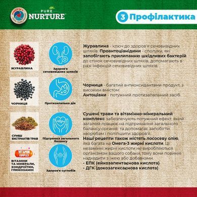 Беззерновий сухий корм для котів для всіх етапів життя Pure Nurture Grain Free з лососем та горошком PN_3035 фото