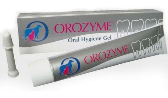 Высокоэффективный гель Orozyme для борьбы с проблемами зубов и десен 10252 фото
