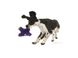 Іграшка для собак West Paw Lincoln Purple Fur DD003PUF фото 2