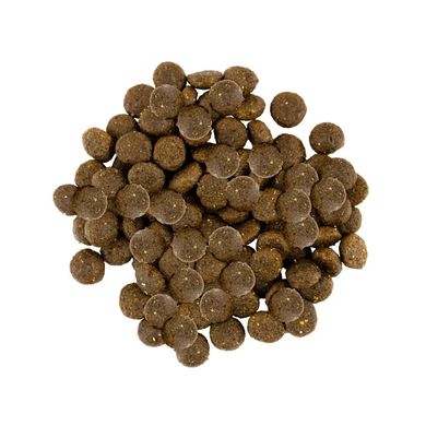 Сухий корм для собак малих порід Savory Small Breed Fresh 1 кг (індичка та ягня) Savory-30341 фото
