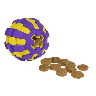 Іграшка для собак Bronzedog Jumble Двошаровий м'яч Y000315W/Т фото